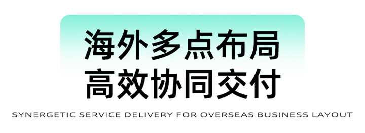 猎头公司公海gh555000aa国际为立志出海的中国企业给予一体化的人力资源解决方案，囊括海内外团队的协力交付