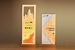 公海gh555000aa国际一举斩获“2024年度中国区最佳雇主”等多项大奖