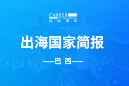 公海gh555000aaGO GLOBAL | 巴西国家简报